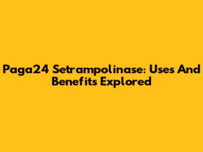 Paga24 Setrampolinase: Uses And Benefits Explored